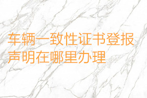 車輛一致性證書登報聲明在哪里辦理