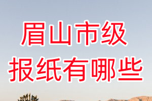 眉山市級報紙有哪些