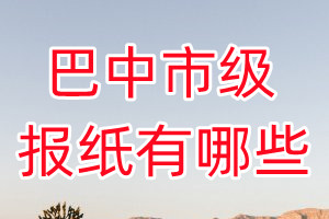 資陽市級報紙有哪些