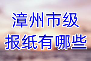 漳州市級報紙有哪些