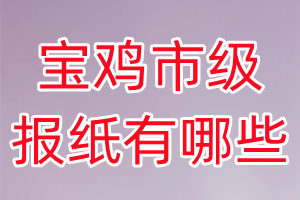 寶雞市級報紙有哪些